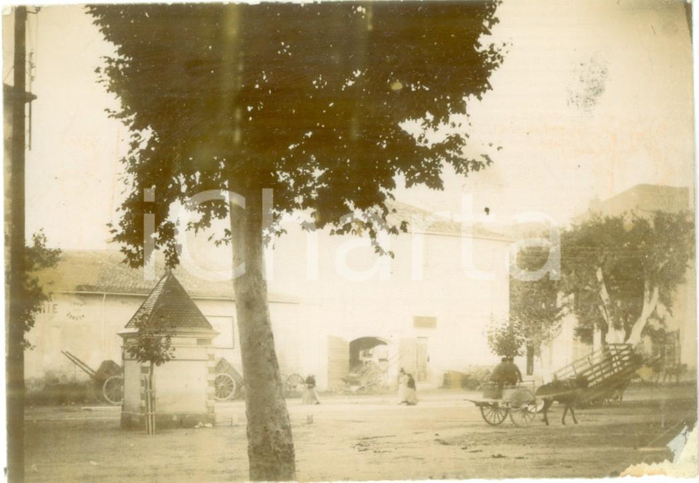 Fotografia d epoca originale 1892 ALGER ALGERIE Carretto in Place de la Croix Fotografia cm 13 x 9 1