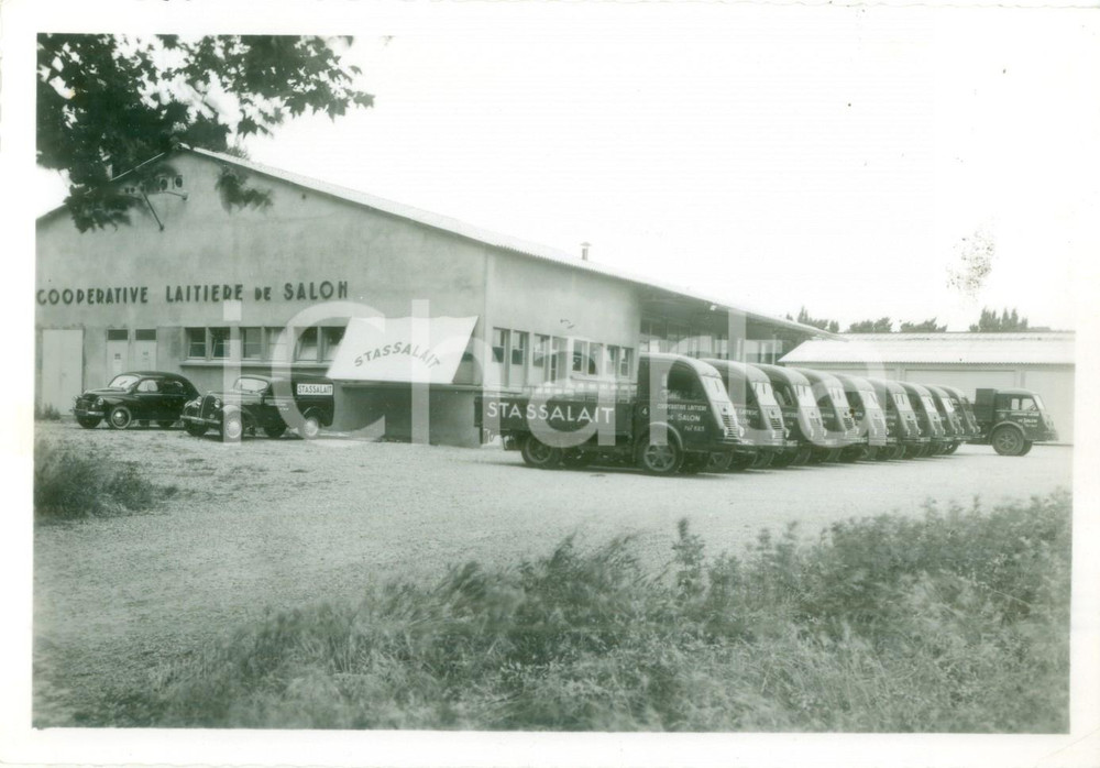 Fotografia d epoca originale 1950 ca SALONDEPROVENCE F Furgoni STASSALAIT CoopÃ©rative LaitiÃ¨re Fotografia 1