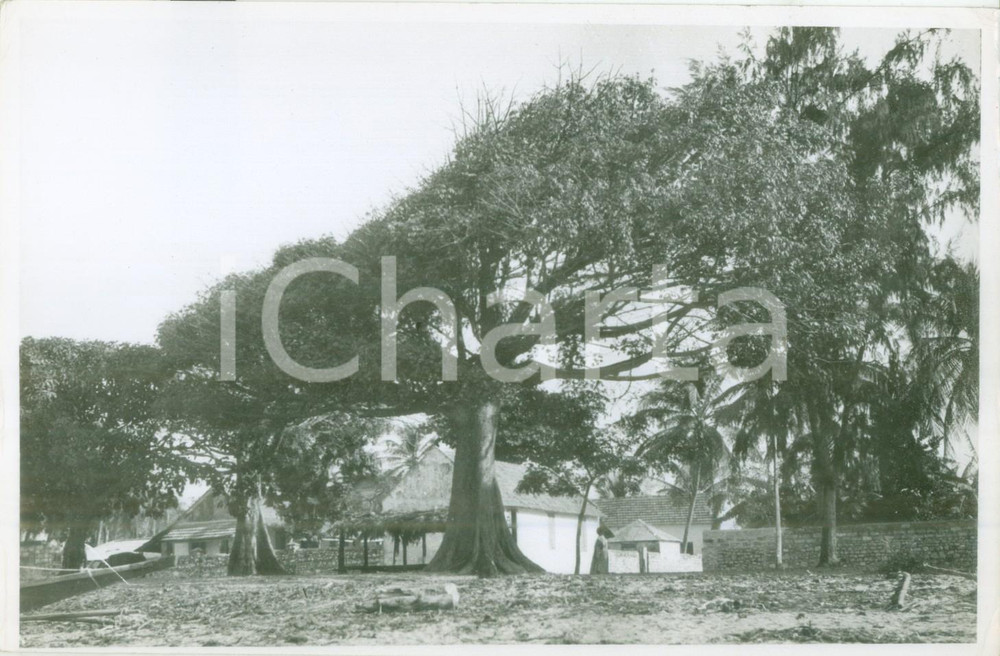 Fotografia d epoca originale 1950 ca MADAGASCAR Scorcio di un villaggio indigeno Fotografia 1