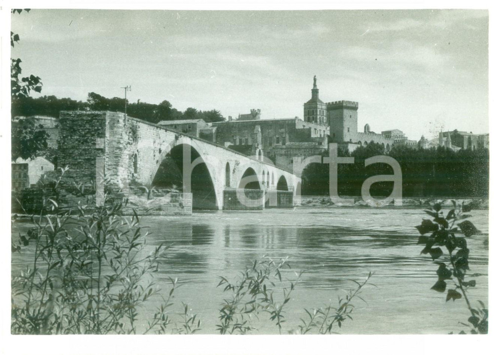 Fotografia d epoca originale 1950 ca AVIGNON F Ponte di SaintBÃ©nezet e Cattedrale Fotografia 1