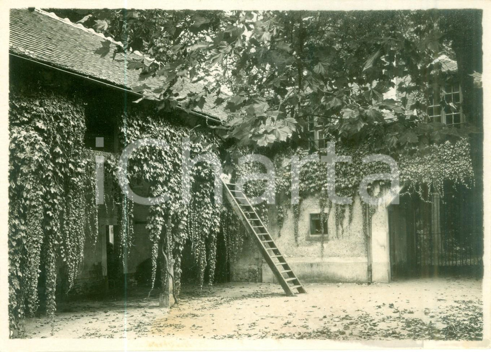 Fotografia d epoca originale 1955 ca FRANCE Cortile interno di una casa colonica con edera Fotografia 1