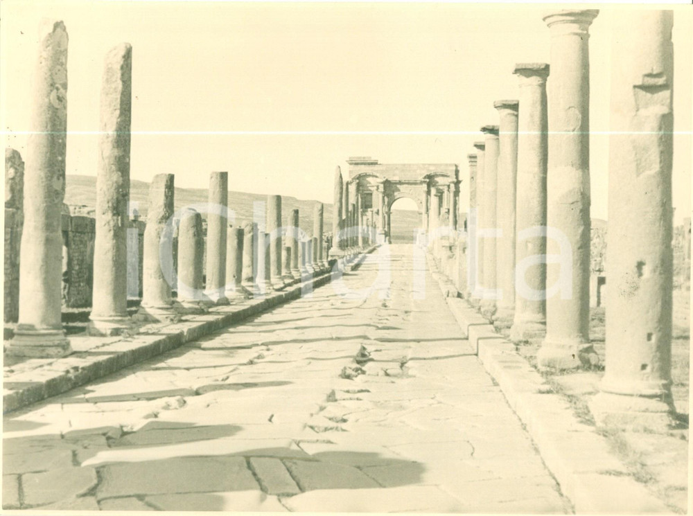 Fotografia d epoca originale 1950 ca BATNA ALGERIA Rovine di TIMGAD con arco di Traiano Fotografia 1