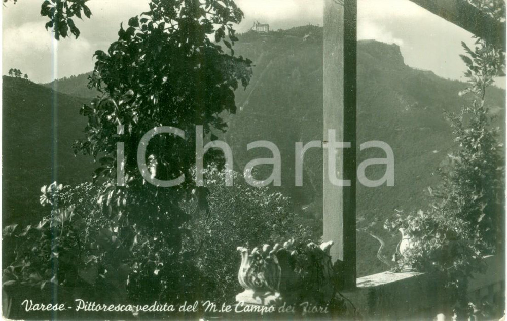 Cartolina originale da collezione 1960 ca VARESE Pittoresca veduta del Monte Campo dei Fiori Cartolina FP VG 1