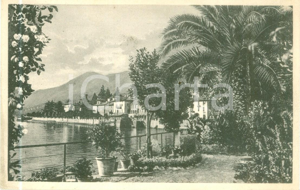 Cartolina originale da collezione 1938 CANNERO RIVIERA VB Panorama del Lago Maggiore Cartolina FP VG 1