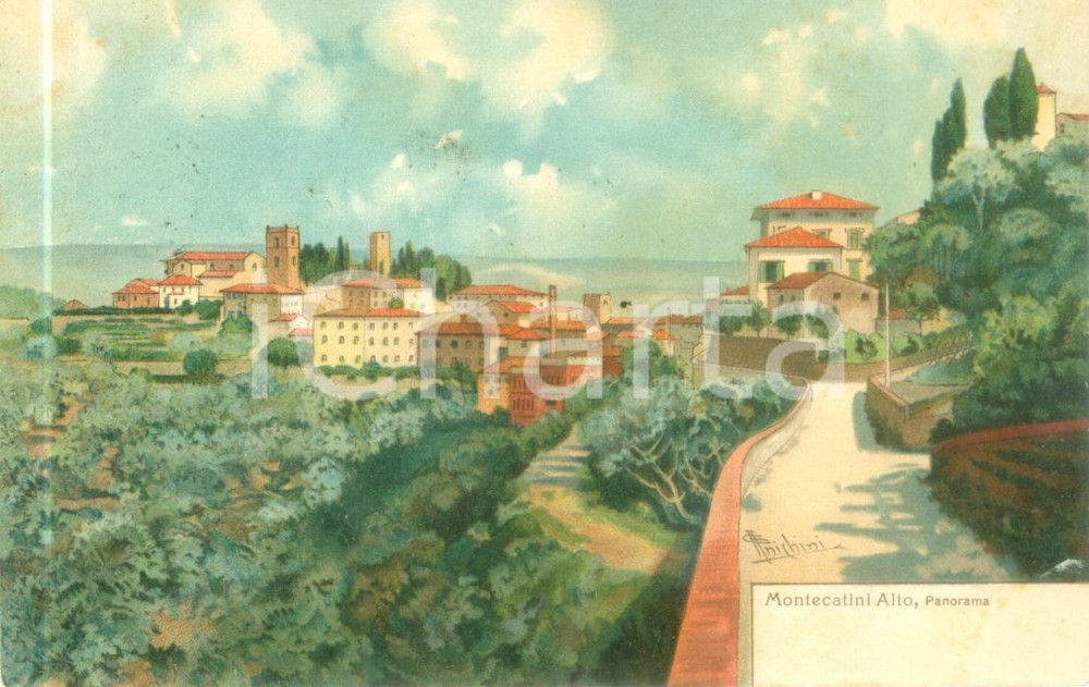 Cartolina originale da collezione 1905 MONTECATINI TERME PT Panorama di Montecatini Alto Cartolina ILLUSTRATA 1