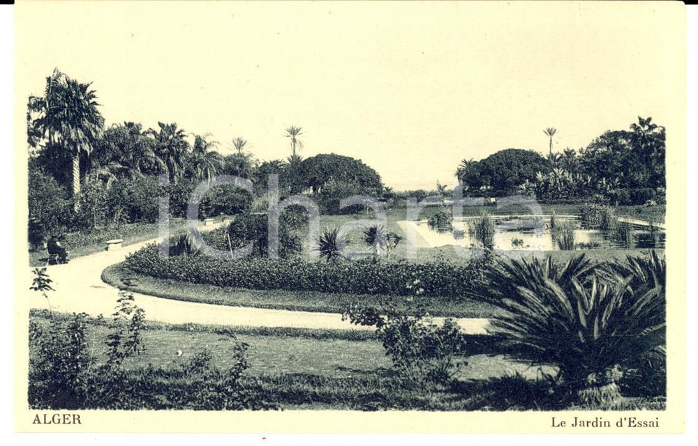1950 ca ALGER Le jardin d'essai *Carte postale VINTAGE