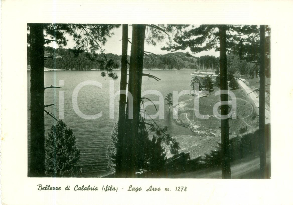 Cartolina originale da collezione 1952 SILA CALABRIA Veduta panoramica del Lago ARVO Cartolina FG VG 1