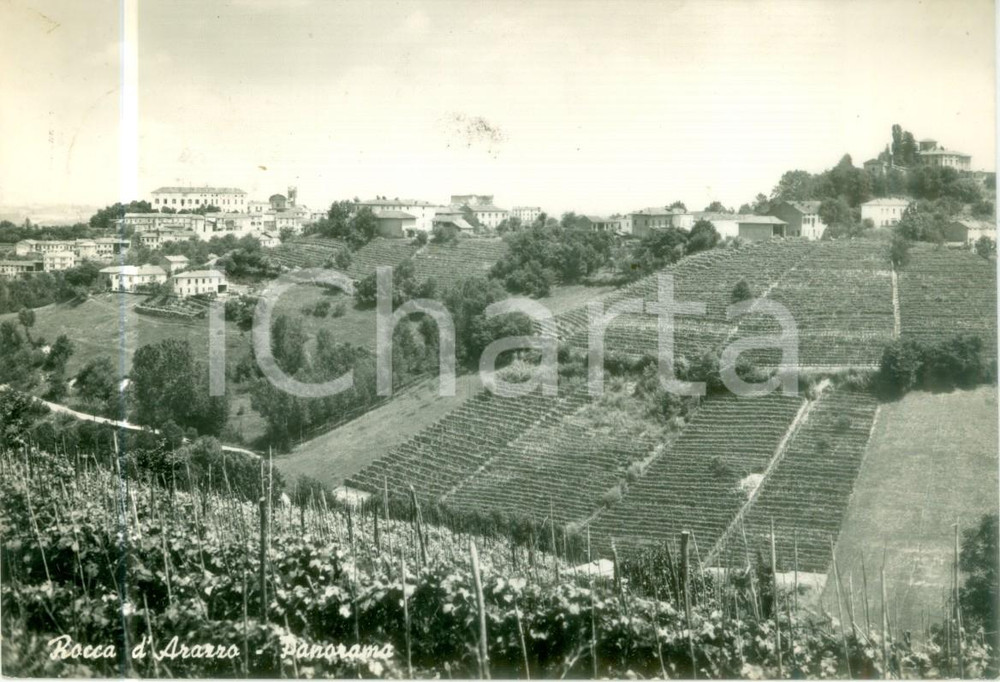 Cartolina originale da collezione 1965 ROCCA D ARAZZO AT Panorama dei vigneti Cartolina FG VG 1