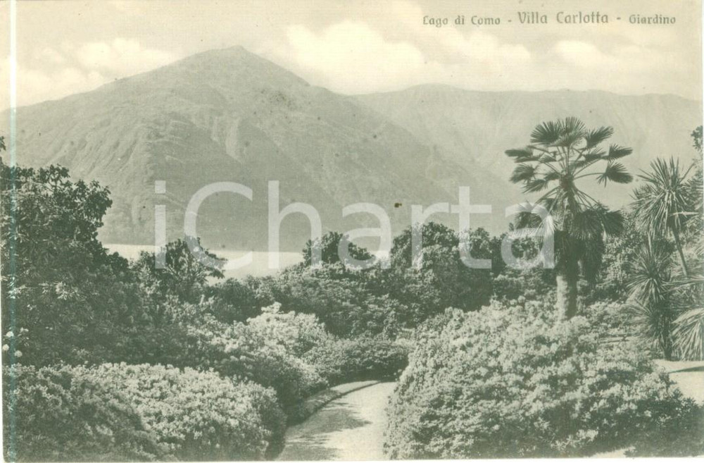 Cartolina originale da collezione 1930 ca TREMEZZO CO Panorama da Villa CARLOTTA Cartolina FP NV 1