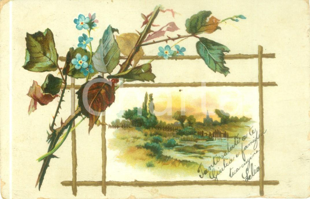 Cartolina originale da collezione 1900 THIENE VI Quadretto d autunno in campagna Cartolina ILLUSTRATA FP VG 1