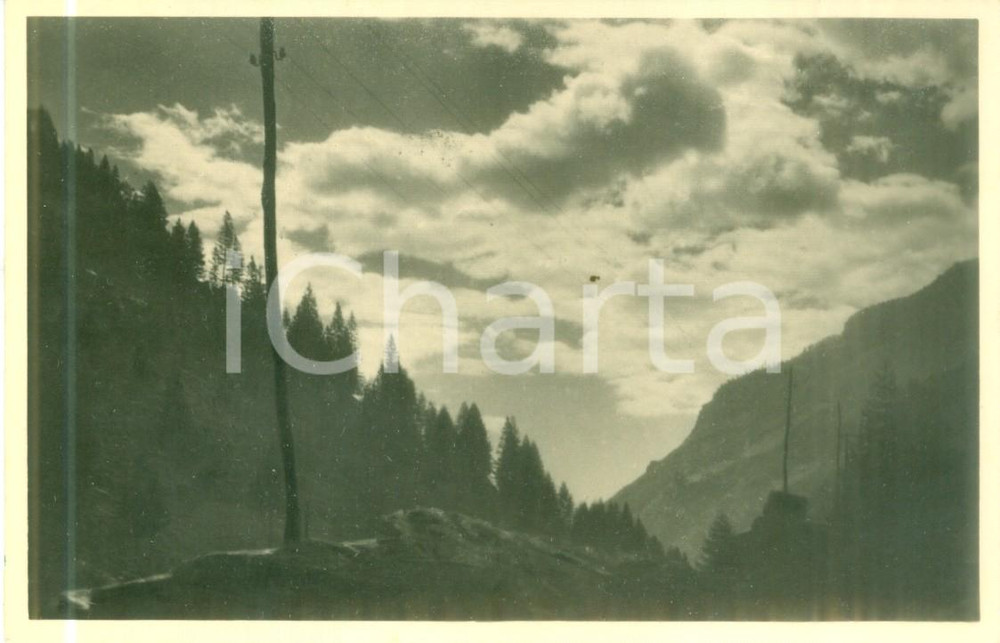 Cartolina originale da collezione 1953 CAMPODOLCINO SO Panorama della valle al tramonto Cartolina FP VG 1