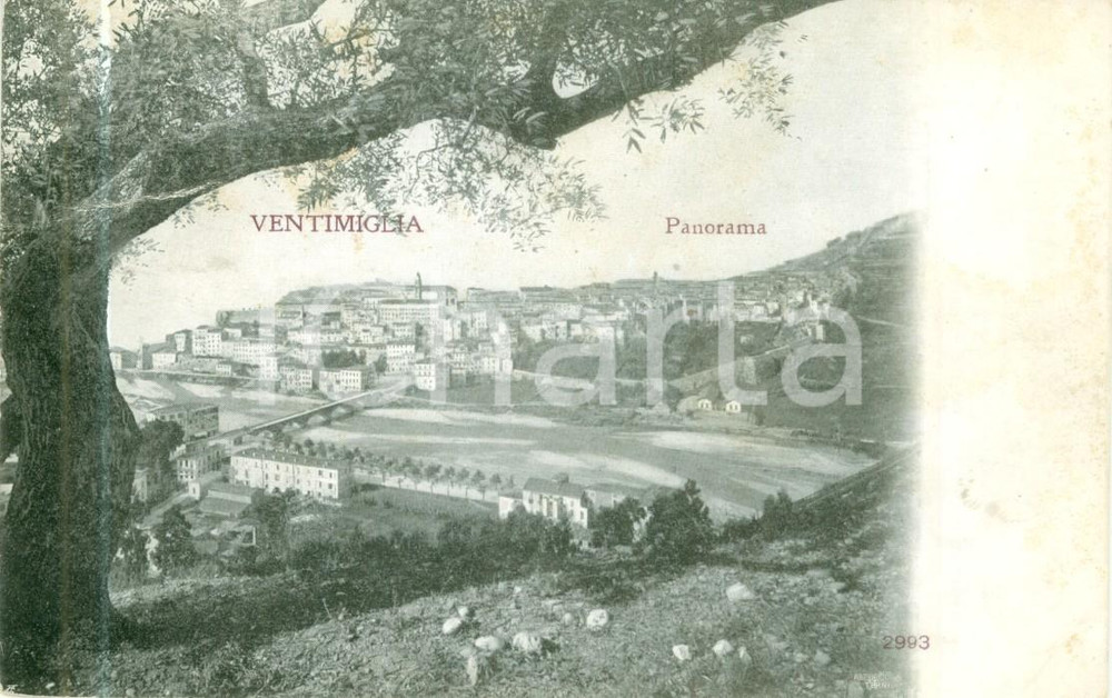 Cartolina originale da collezione 1920 VENTIMIGLIA IM Panorama della cittÃ  dalla montagna Cartolina FP VG 1