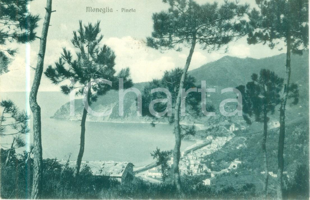 Cartolina originale da collezione 1933 MONEGLIA GE Panorama della pineta e del golfo Cartolina FP VG 1