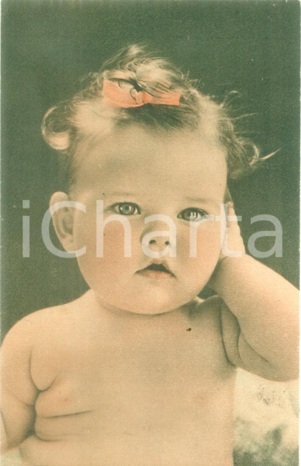 Cartolina originale da collezione 1930 ca CARMAGNOLA TO Ditta ALPESTRE 34 erbe per 34 malanni Cartolina FP NV 1