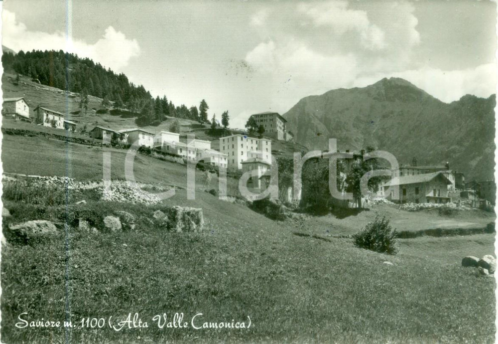 Cartolina originale da collezione 1955 SAVIORE DELL ADAMELLO BS Panorama paese in Valle CAMONICA Cartolina FG VG 1