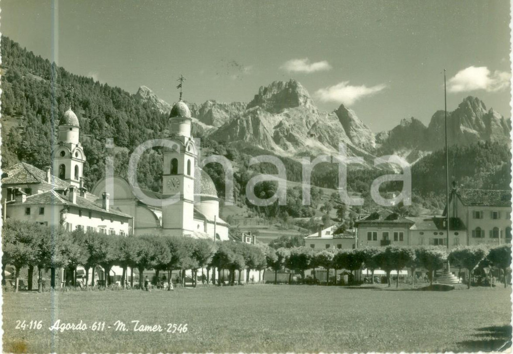 Cartolina originale da collezione 1955 AGORDO BL Chiesa Santa Maria Nascente e Monte TAMER Cartolina FG VG 1