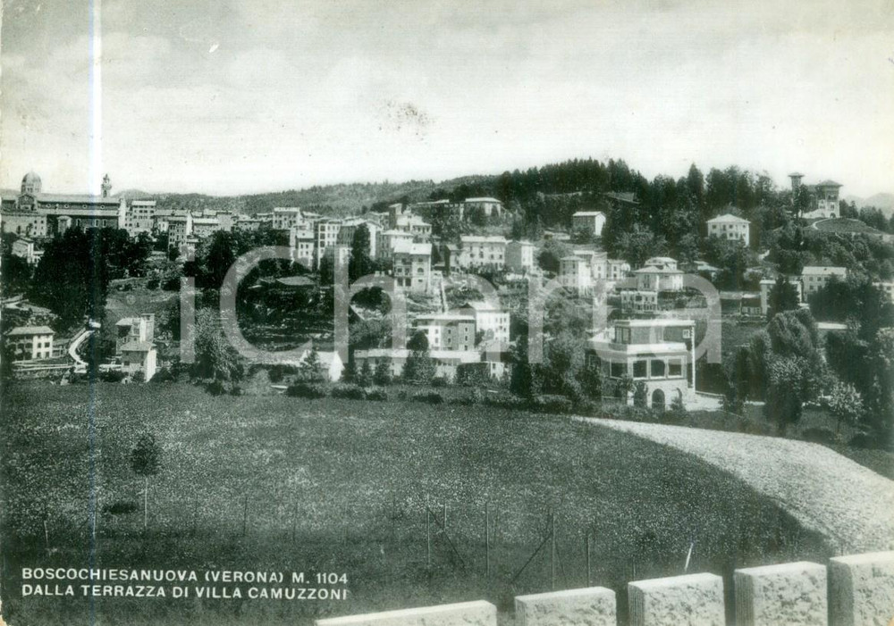 Cartolina originale da collezione 1953 BOSCO CHIESANUOVA Panorama da terrazza di Villa CAMUZZONI Cartolina FG VG 1