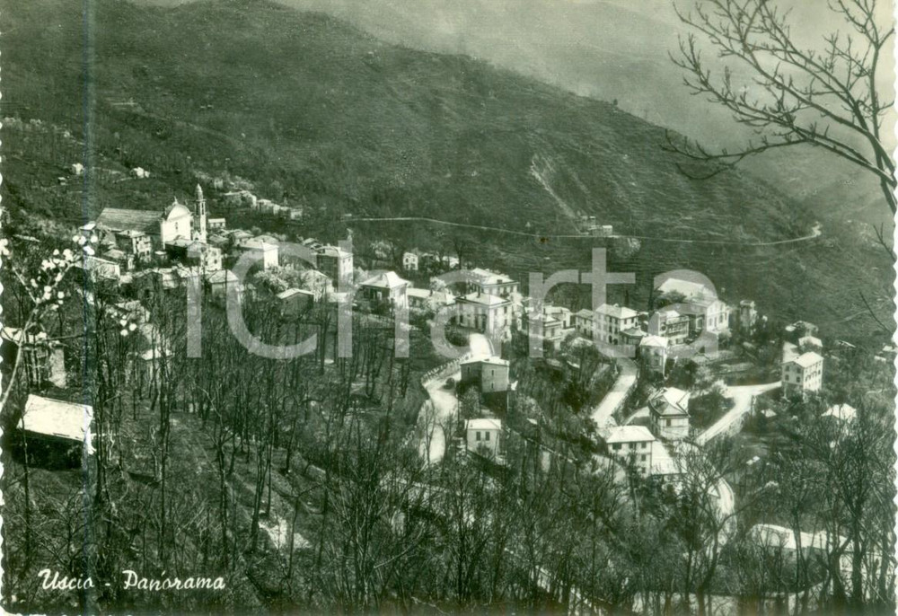 Cartolina originale da collezione 1965 USCIO GE Panorama del paese nella valle Cartolina FG VG 1