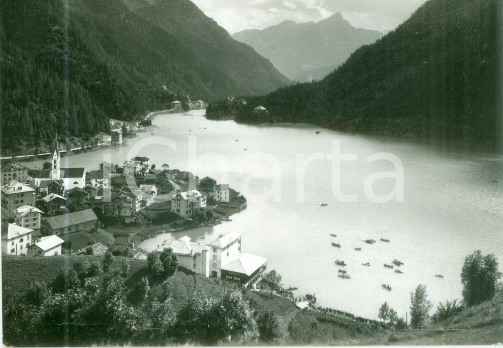 Cartolina originale da collezione 1960 ca ALLEGHE BL Panorama verso il MASARÃˆ Cartolina FG VG 1