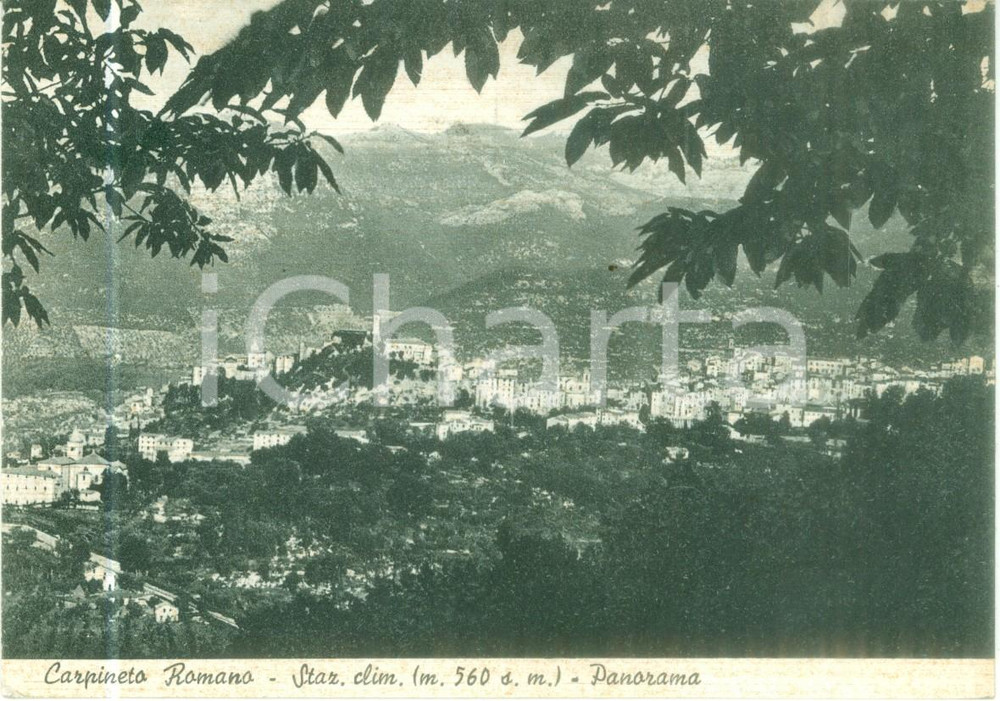 Cartolina originale da collezione 1952 CARPINETO ROMANO Panorama della stazione climatica Cartolina FG VG 1