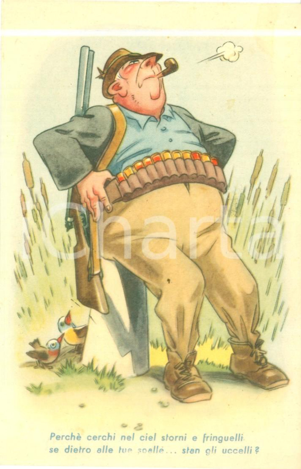 Cartolina originale da collezione 1959 LA CACCIA Il cacciatore e gli uccelli Cartolina satirica FP NV 1