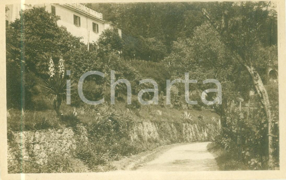 Cartolina originale da collezione 1935 ca BELLAGIO CO Villa SERBELLONI Monumento Nazionale Cartolina FP NV 1