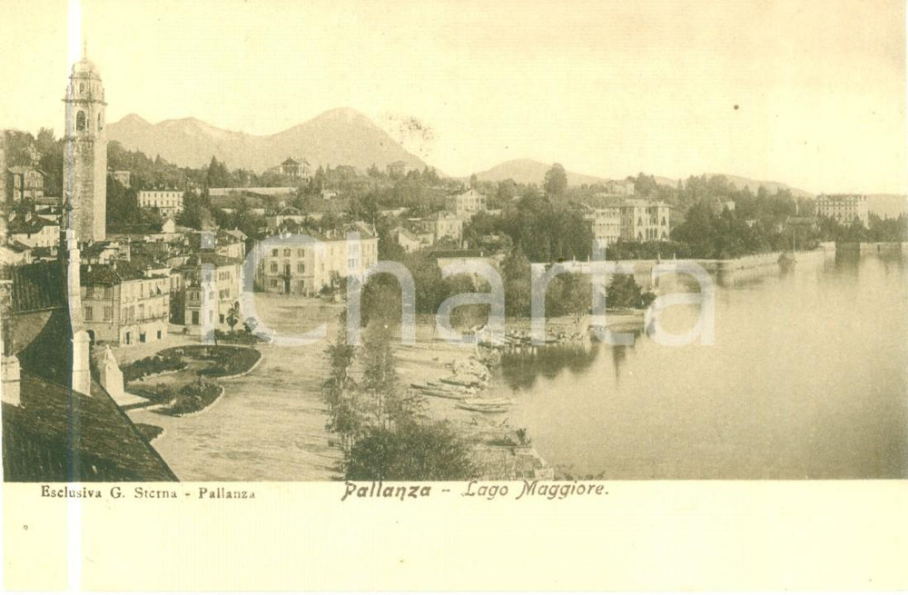 Cartolina originale da collezione 1900 ca VERBANIA PALLANZA Panorama con Lago Maggiore Cartolina FP NV 1