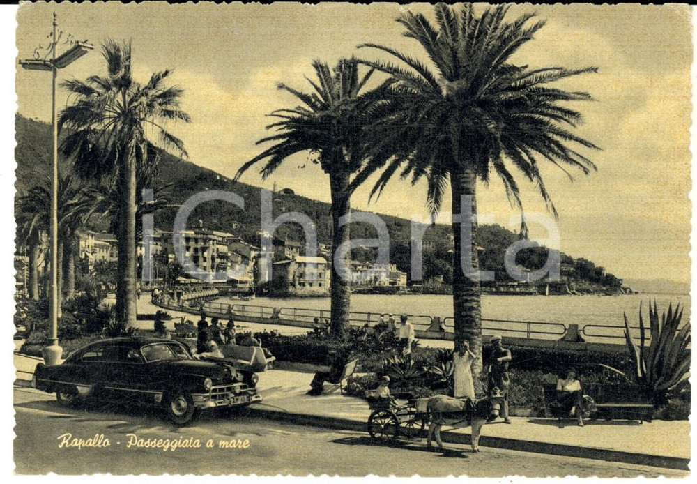 Cartolina originale da collezione 1956 RAPALLO GE Passeggiata a mare Cartolina ANIMATA con auto e calessino FG 1