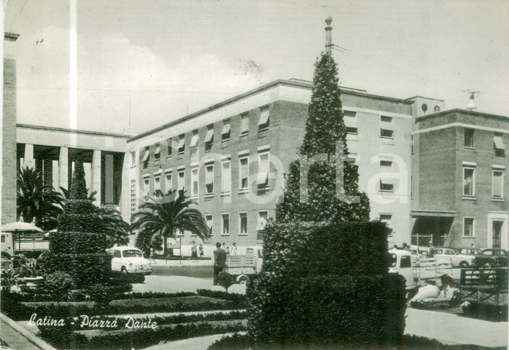 Cartolina originale da collezione 1964 LATINA Albero di NATALE in Piazza DANTE Cartolina FG VG 1