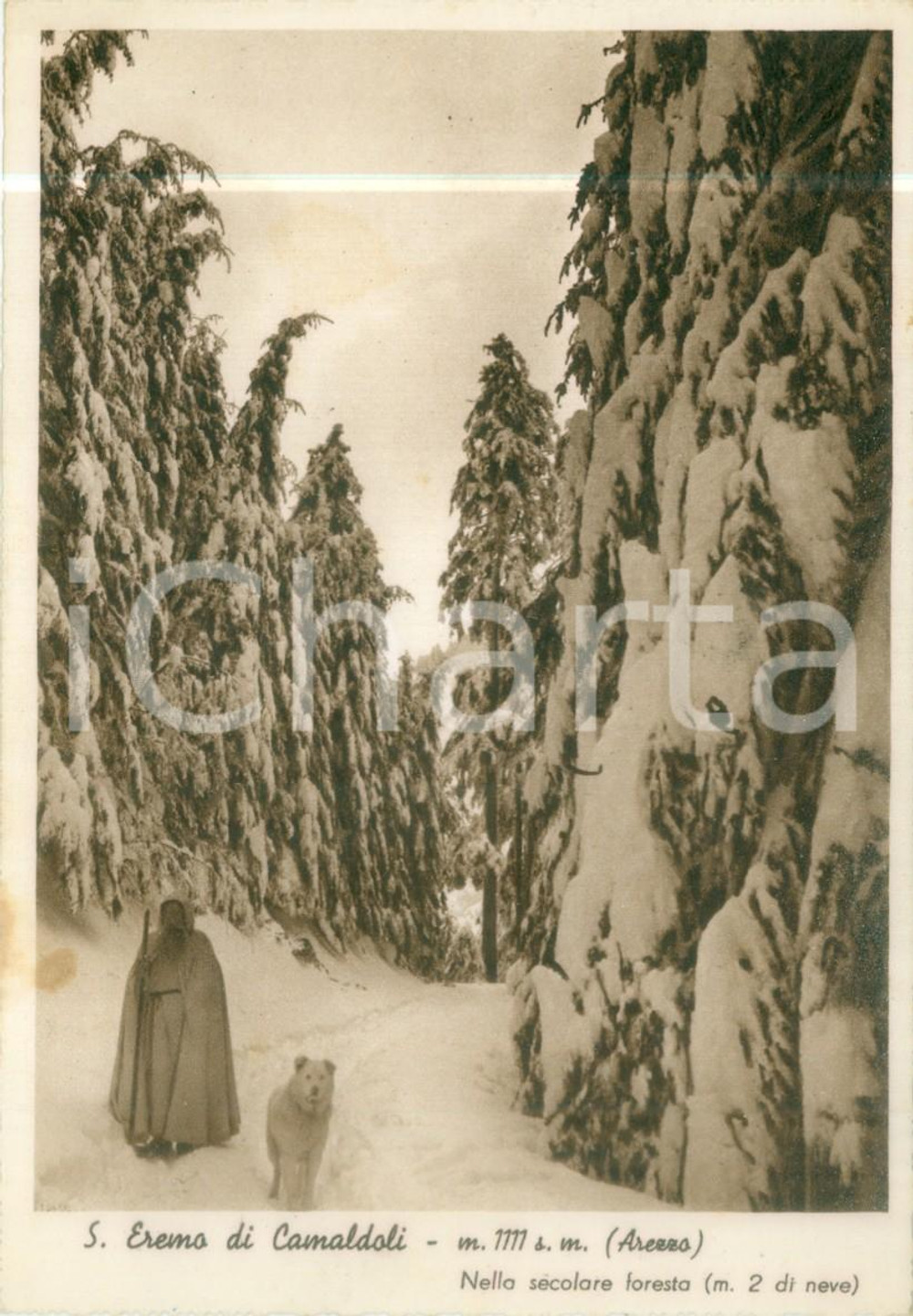 Cartolina originale da collezione 1939 EREMO DI CAMALDOLI AR Monaco benedettino nella neve Cartolina FG NV 1
