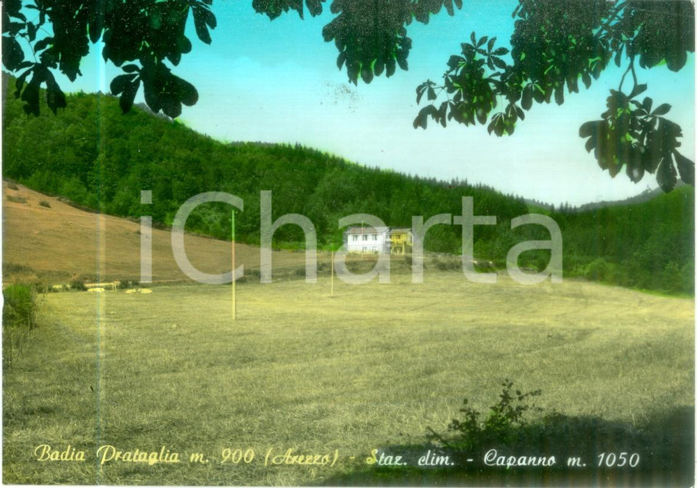 Cartolina originale da collezione 1966 POPPI AR Stazione climatica di BADIA PRATAGLIA Cartolina FG VG 1