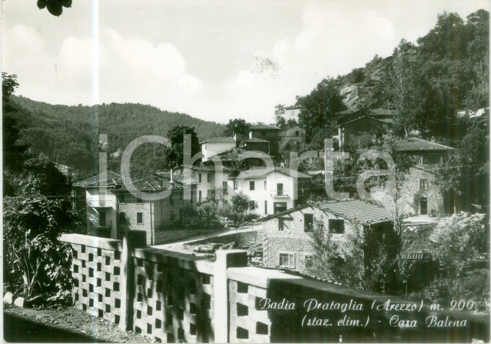 Cartolina originale da collezione 1975 ca POPPI AR Veduta di Casa Balena a BADIA PRATAGLIA Cartolina FG VG 1