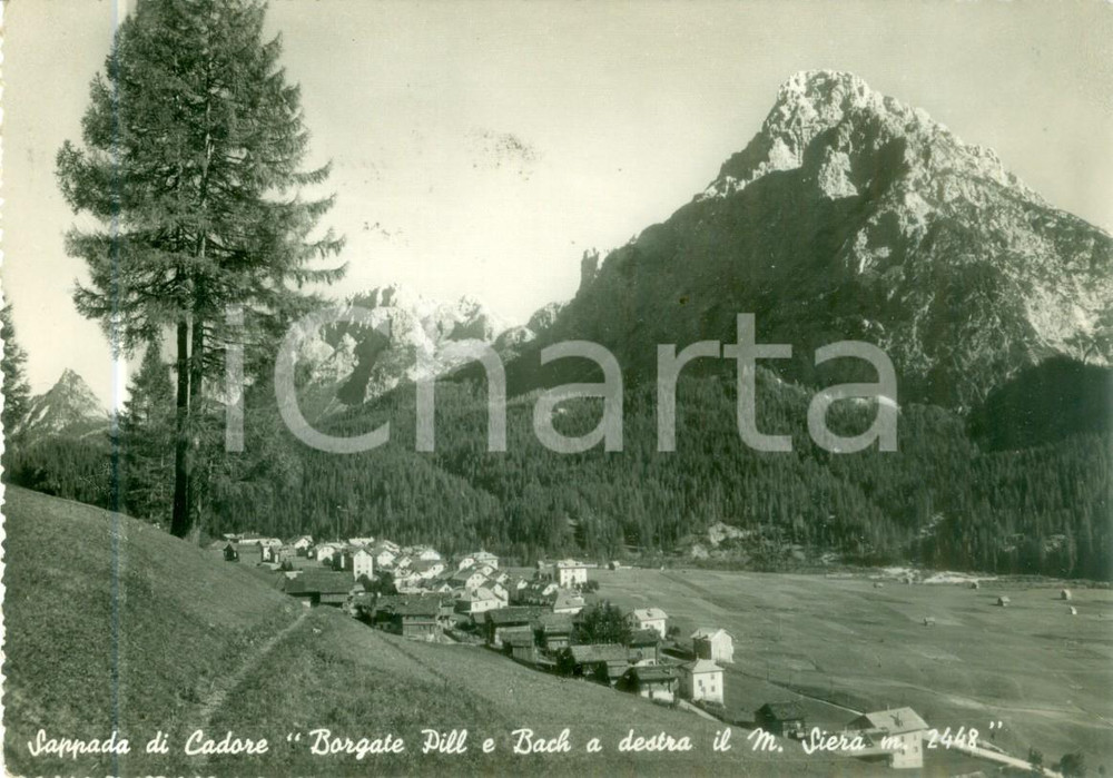 Cartolina originale da collezione 1949 SAPPADA BL Borgate Pill e Bach con Monte SIERA Cartolina FG VG 1