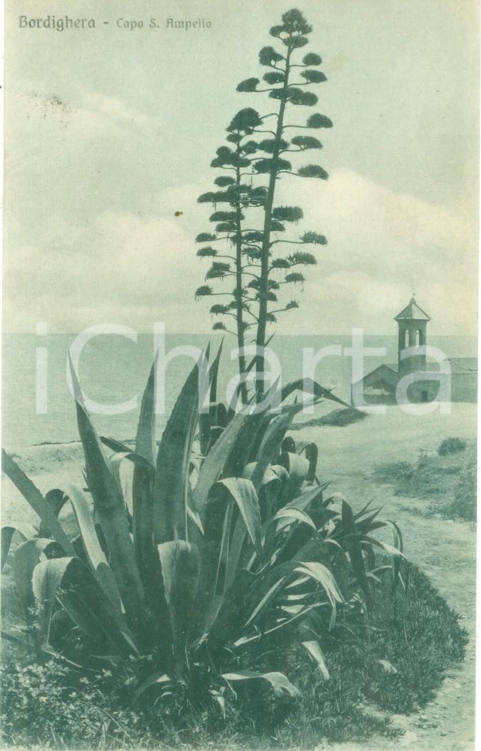 Cartolina originale da collezione 1930 ca BORDIGHERA IM Veduta di Capo SANT AMPELIO Cartolina FP NV 1