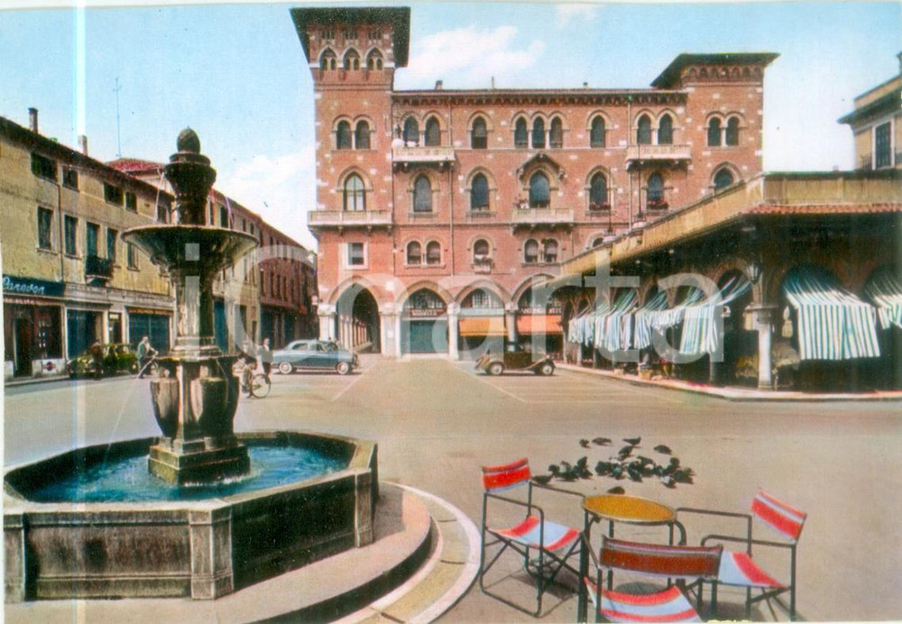 Cartolina originale da collezione 1960 ca TREVISO Tavolino da bar e piccioni in Piazza SAN VITO Cartolina FG NV 1