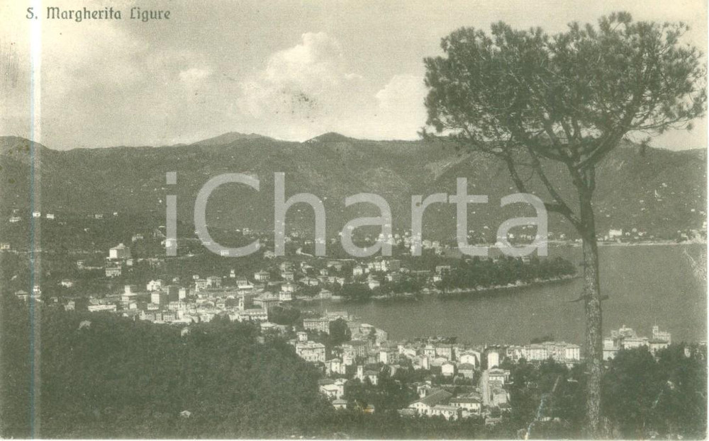 Cartolina originale da collezione 1917 SANTA MARGHERITA LIGURE GE Panorama del golfo Cartolina FP VG 1