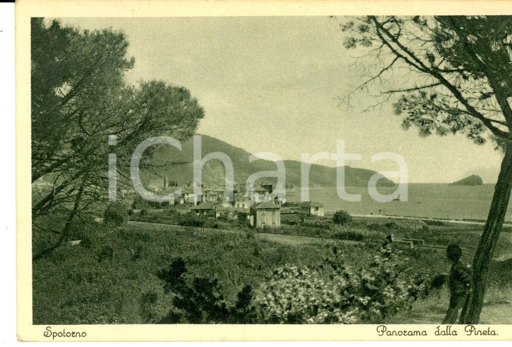 Cartolina originale da collezione 1948 SPOTORNO SV Panorama dalla pineta Cartolina postale FP VG 1