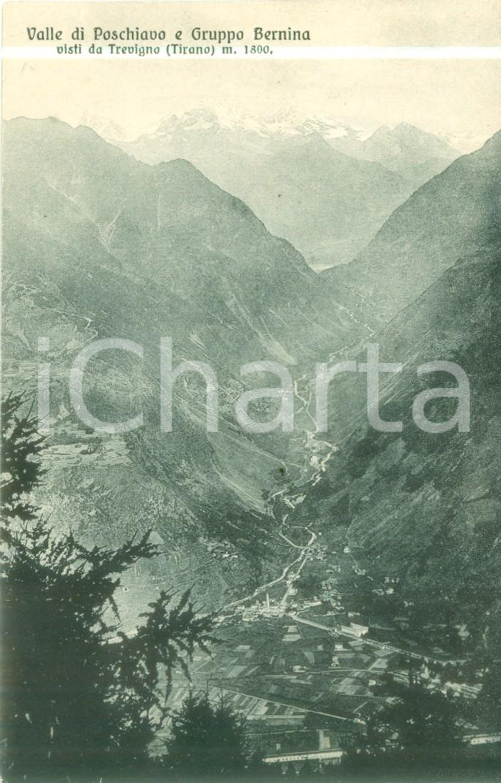 Cartolina originale da collezione 1930 ca VAL POSCHIAVO Gruppo BERNINA visto da TREVIGNO Cartolina FP NV 1