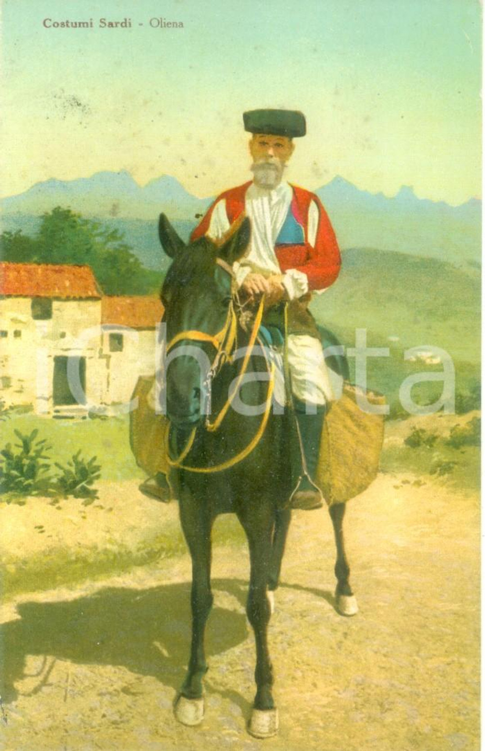 Cartolina originale da collezione 1930 ca COSTUMI SARDI Pastore in sella al suo cavallo Cartolina FP NV 1