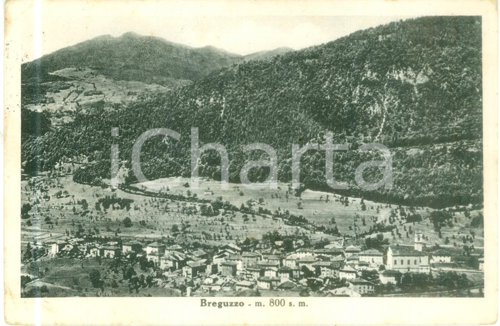 Cartolina originale da collezione 1961 BREGUZZO TN Panorama del paese nella valle Cartolina FP VG 1