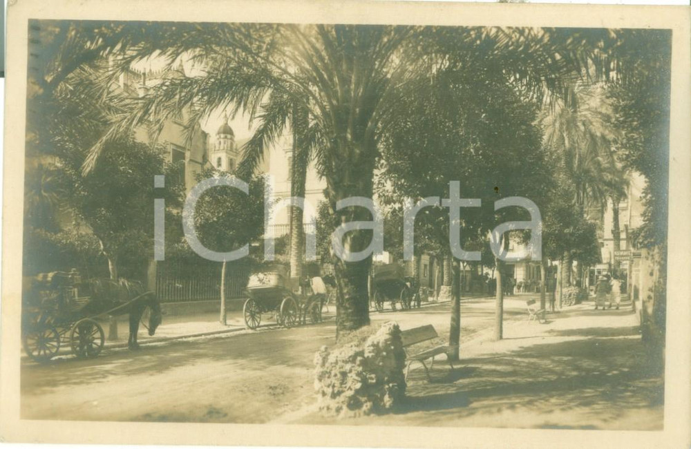 Cartolina originale da collezione 1927 GENOVA NERVI Carrozze in sosta sul Viale delle Palme Cartolina FP VG 1