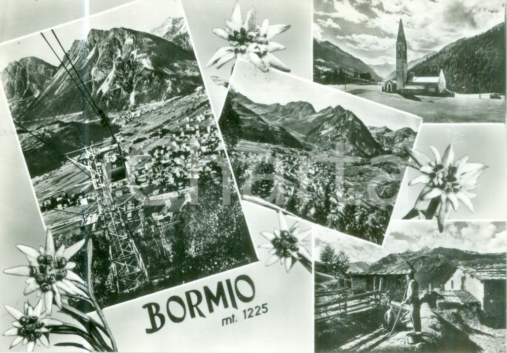 Cartolina originale da collezione 1959 BORMIO SO Vedutine con funivia e contadino al lavoro Cartolina FG NV 1