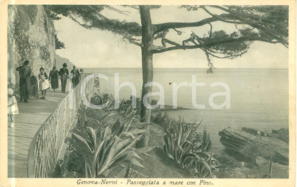 Cartolina originale da collezione 1936 GENOVA NERVI Turisti sulla passeggiata a mare con pino Cartolina FP VG 1