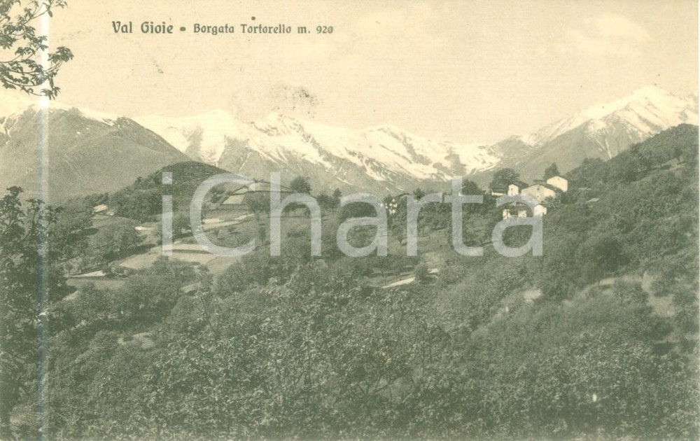 Cartolina originale da collezione 1916 VALGIOIE TO Veduta della Borgata TORTORELLO Cartolina FP VG 1