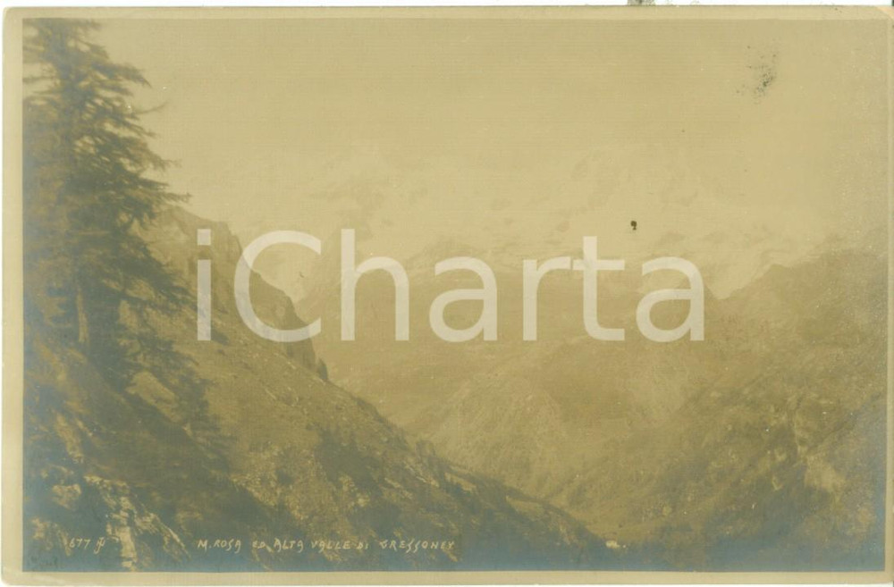 Cartolina originale da collezione 1920 ca GRESSONEYSAINTJEAN AO Il Monte Rosa e l Alta Valle Cartolina FP NV 1