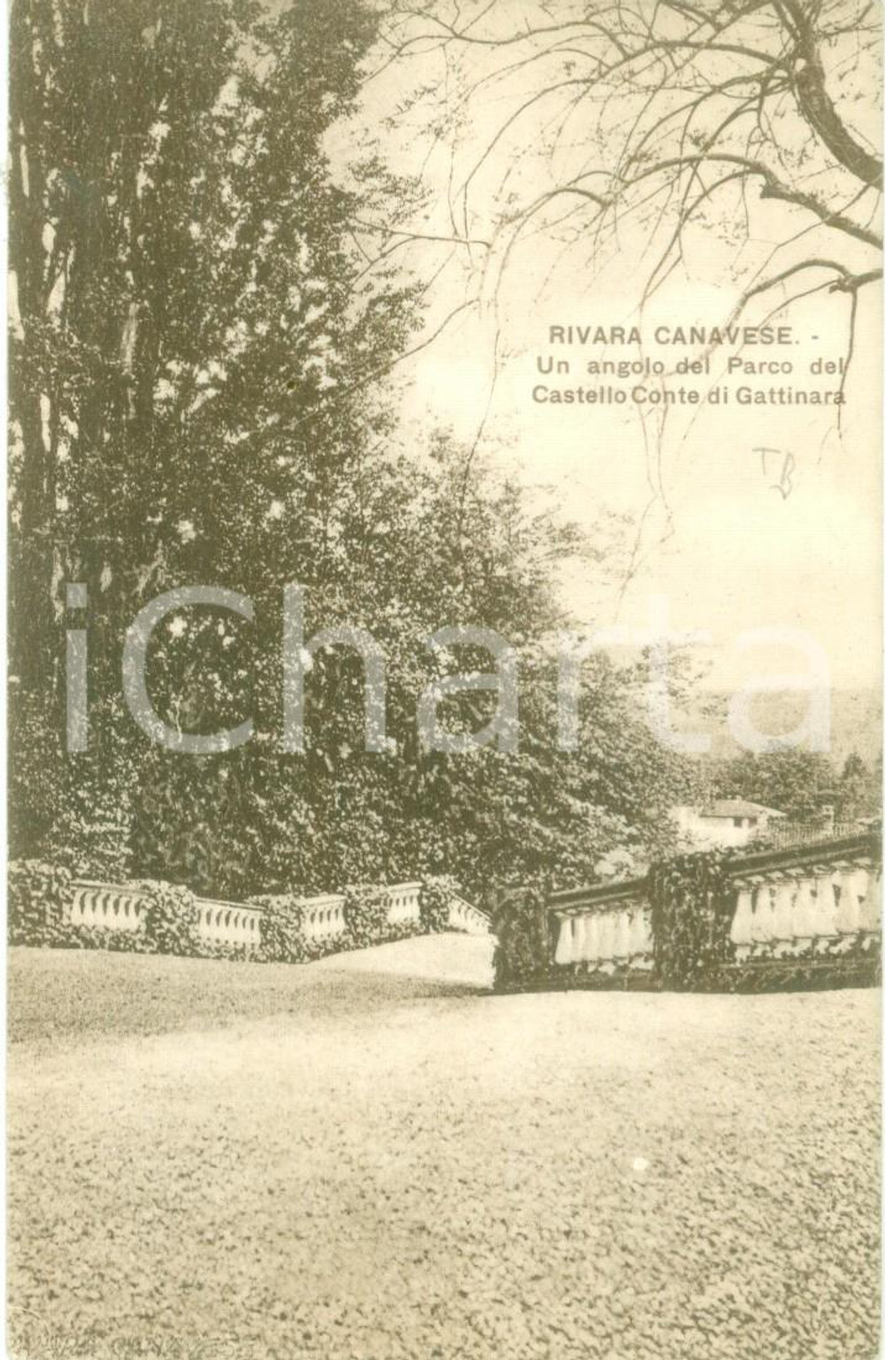 Cartolina originale da collezione 1935 ca RIVARA TO Il parco del Castello Conte di GATTINARA Cartolina FP NV 1