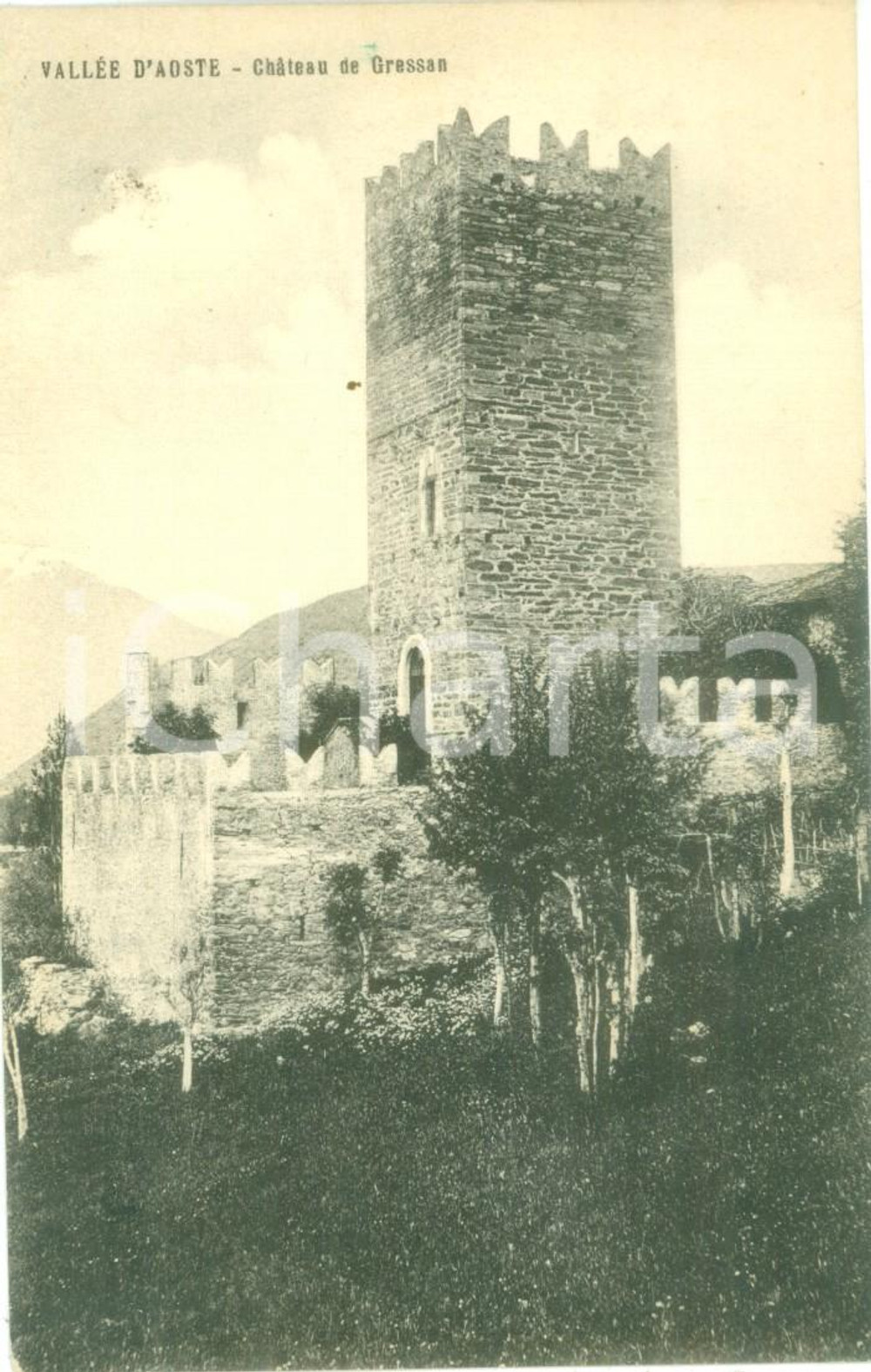 Cartolina originale da collezione 1930 ca GRESSAN AO Panorama del Castello con la torre Cartolina FP NV 1