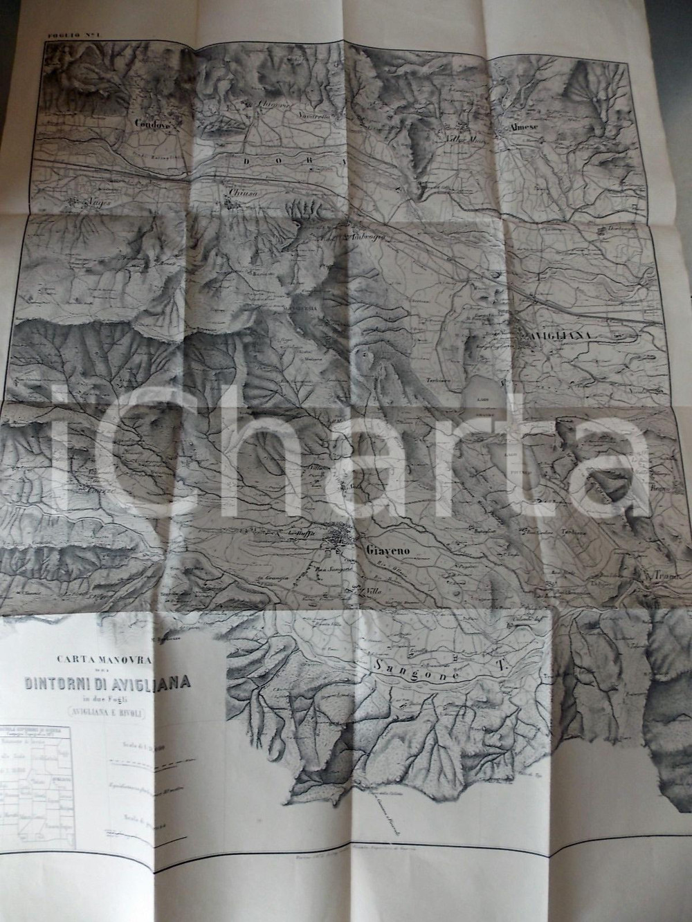 Mappa, planimetria storica 1873 AVIGLIANA TO Carta manovra dei dintorni Mappa militare 60x100 cm 1