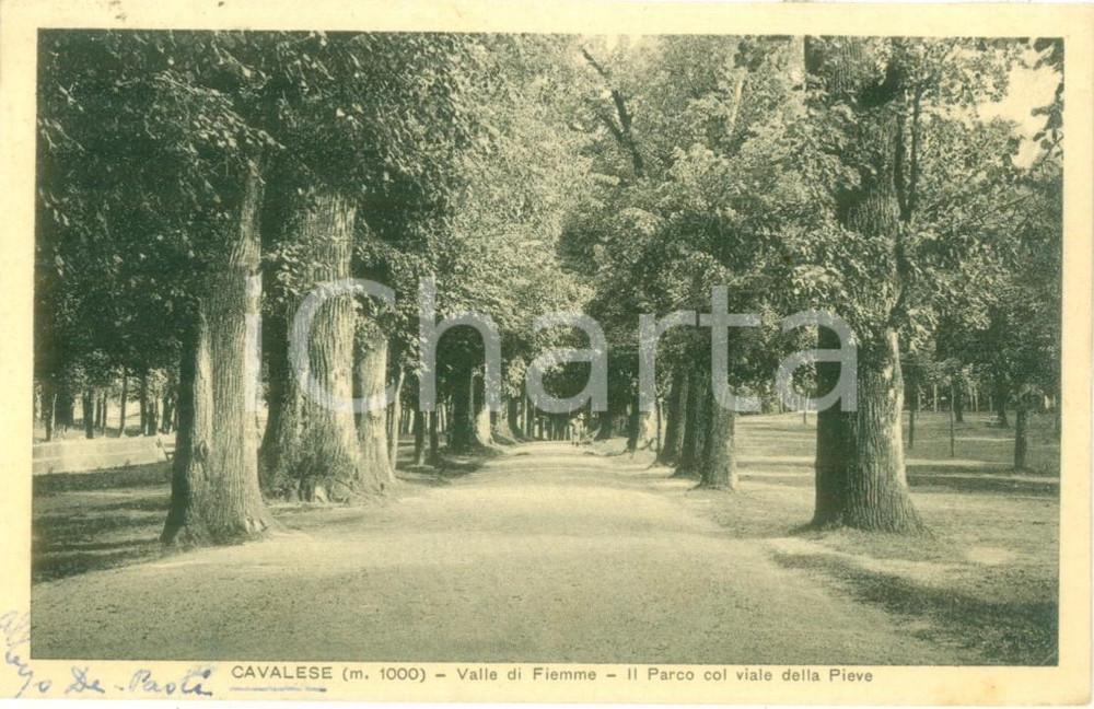 Cartolina originale da collezione 1941 CAVALESE TN parco con il Viale della PIEVE Cartolina FP VG 1