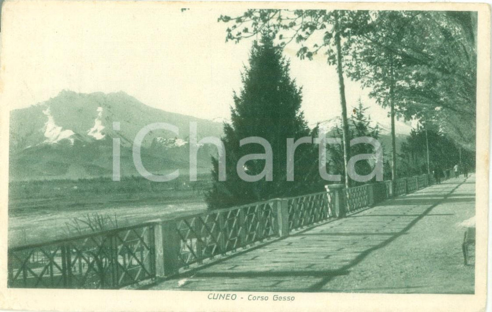 Cartolina originale da collezione 1928 CUNEO Veduta di Corso GESSO e montagne Cartolina postale FP VG 1